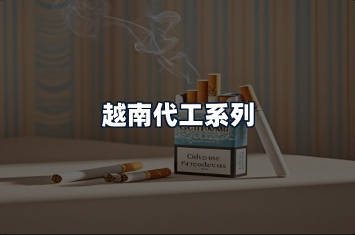 越南代工系列